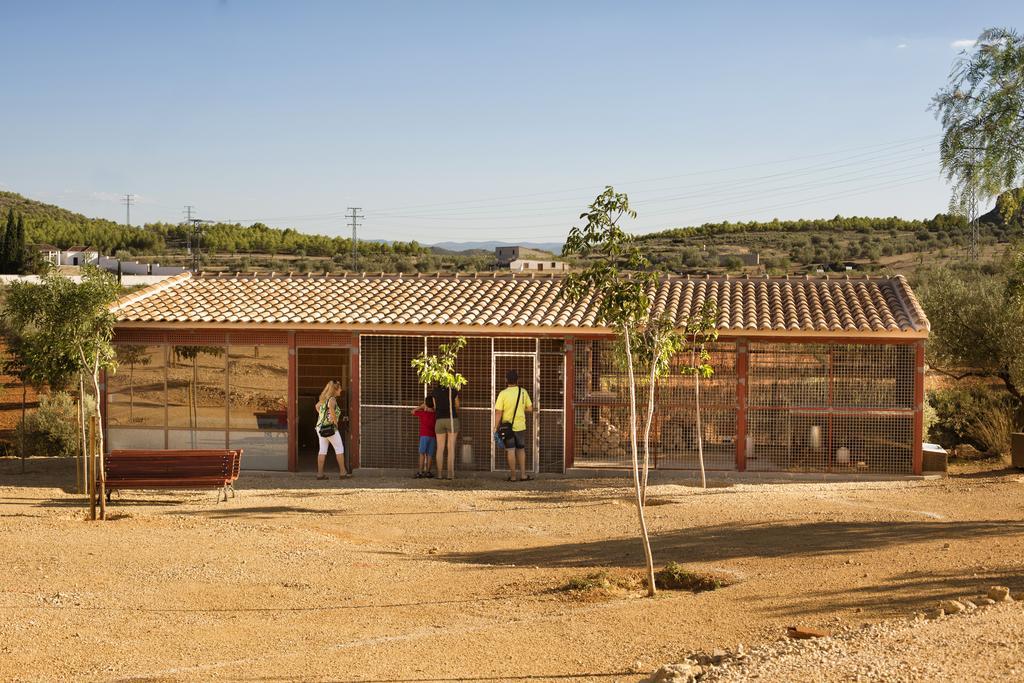 Complejo Rural La Tejera Konuk evi Elche de la Sierra Dış mekan fotoğraf